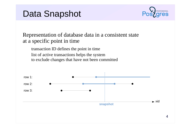 Source slide page 4: Data Snapshot