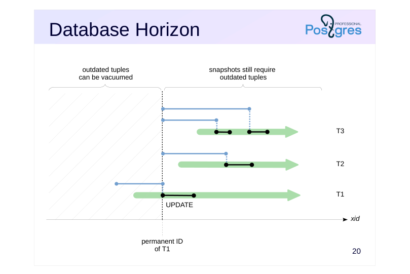 Source slide page 21: Database Horizon