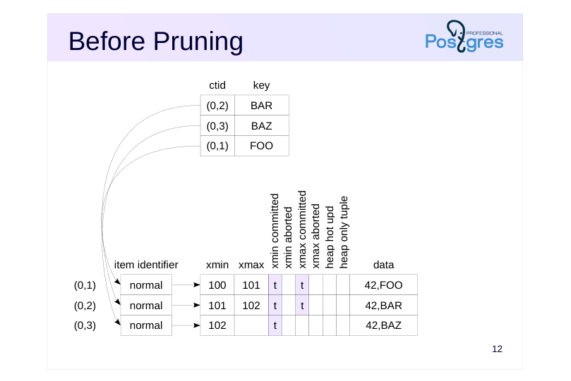 Source slide page 14: Before Pruning