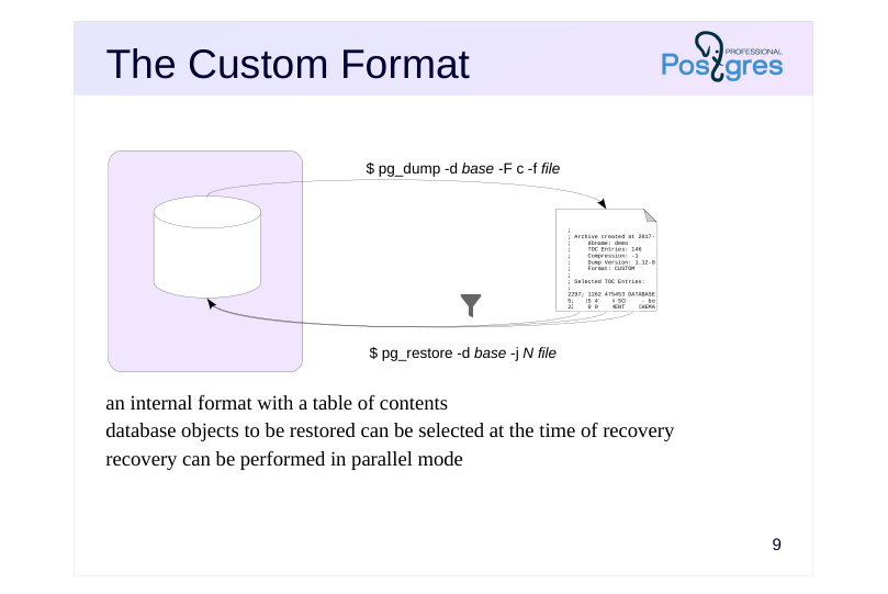 Source slide page 12: The Custom Format