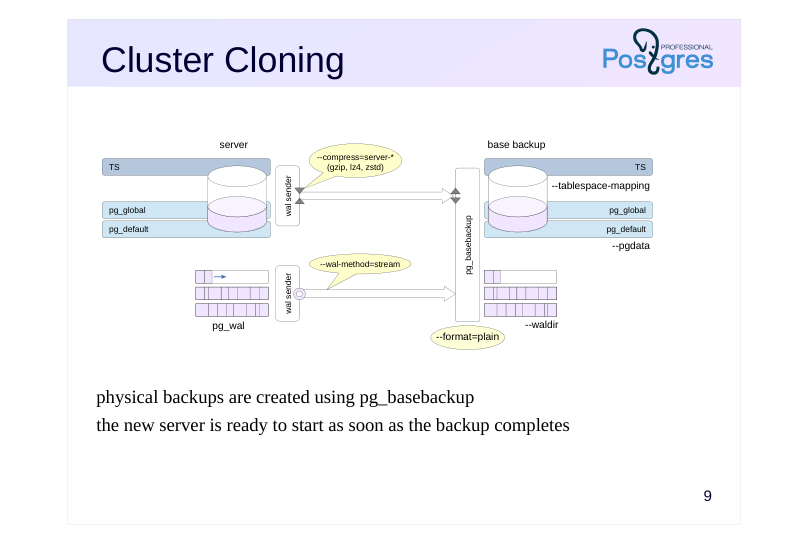 Source slide page 9: Cluster Cloning