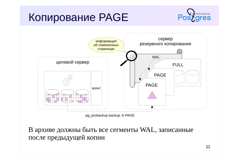 Source slide page 13: Копирование PAGE